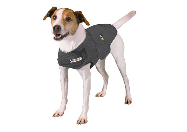 thundershirt on dog